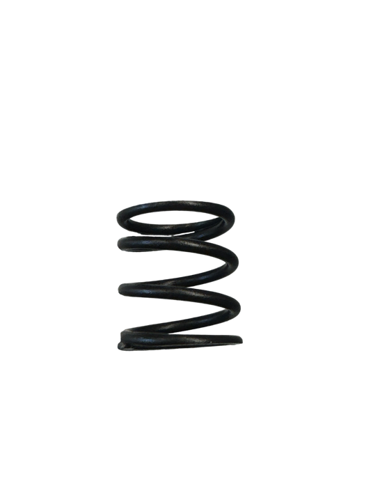 VALVE SPRING / T4 BAMBINO