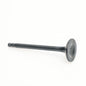EXHAUST VALVE  (T4 MINI)