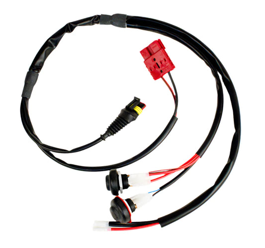 IAME wiring harness