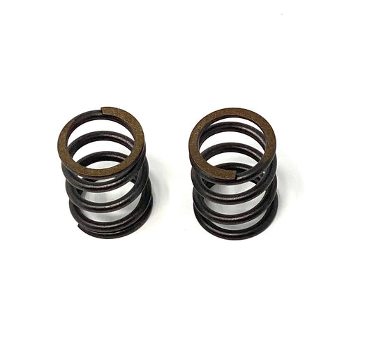 VALVE SPRING 225 T4