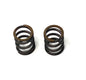 VALVE SPRING 225 T4